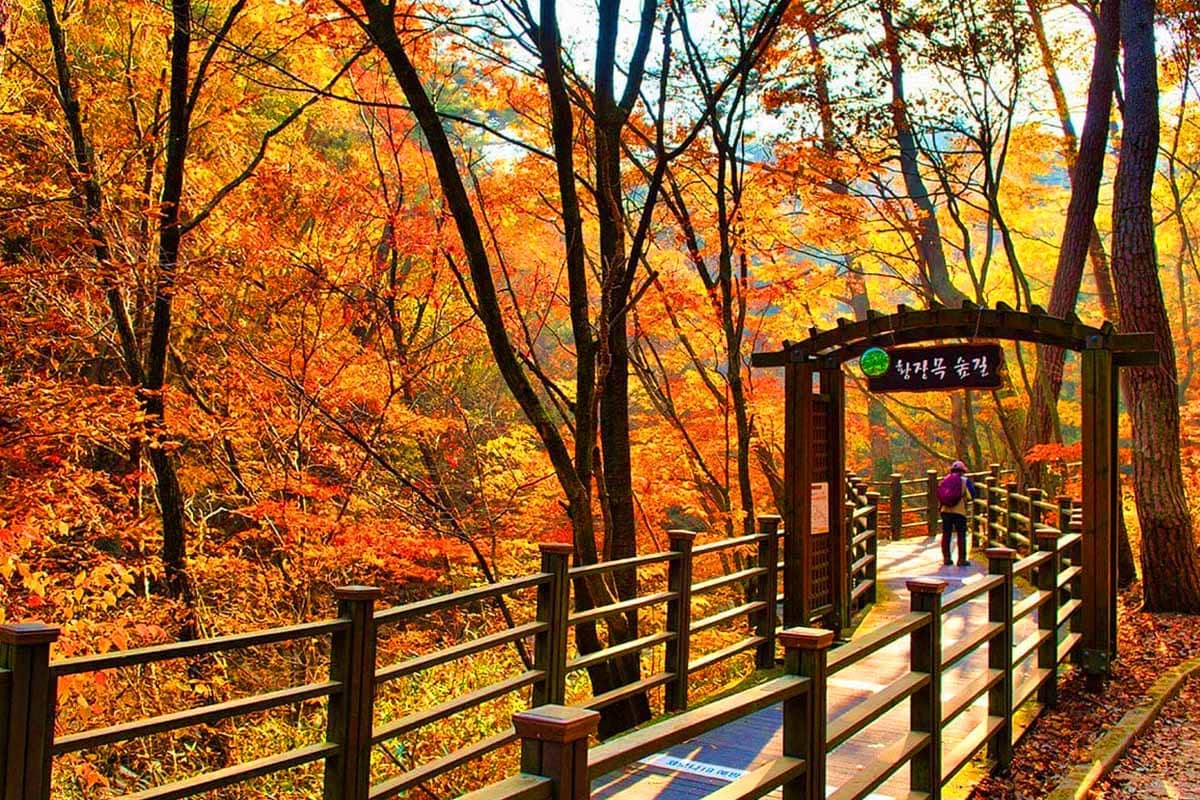 치악산국립공원 트래킹 