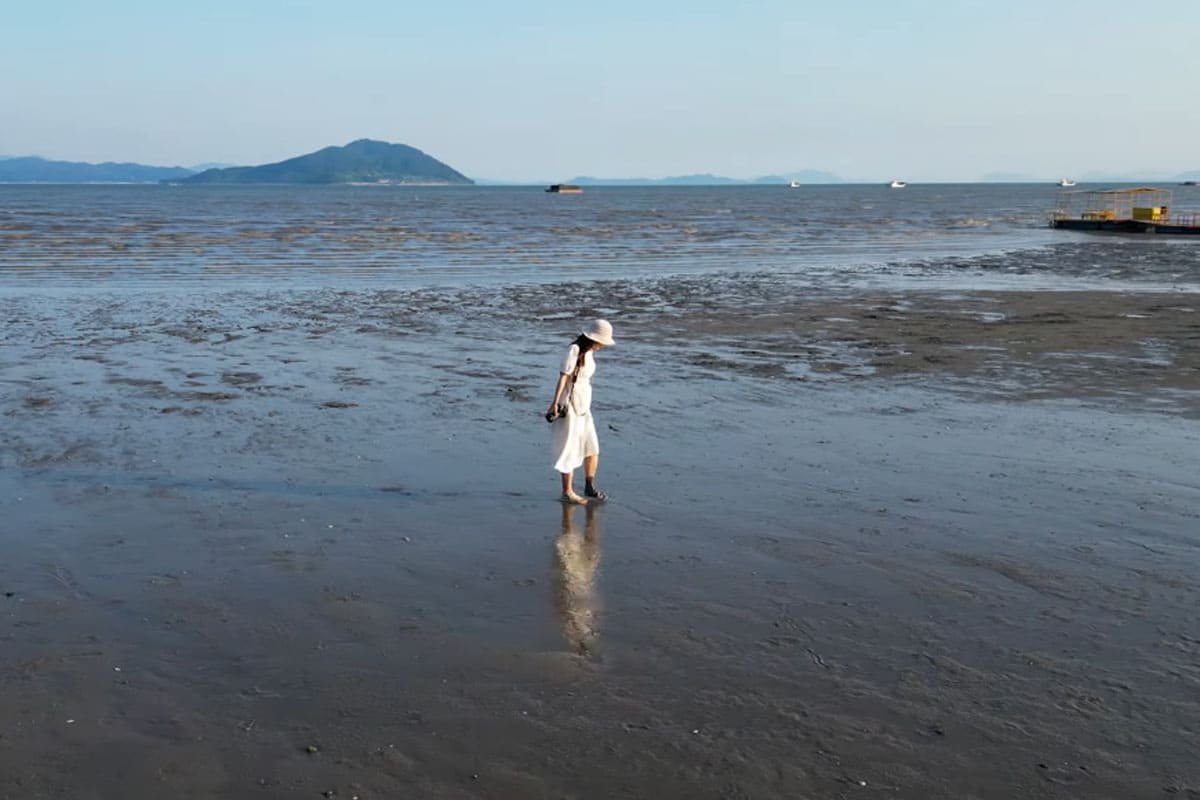 율포솔밭해변 갯벌
