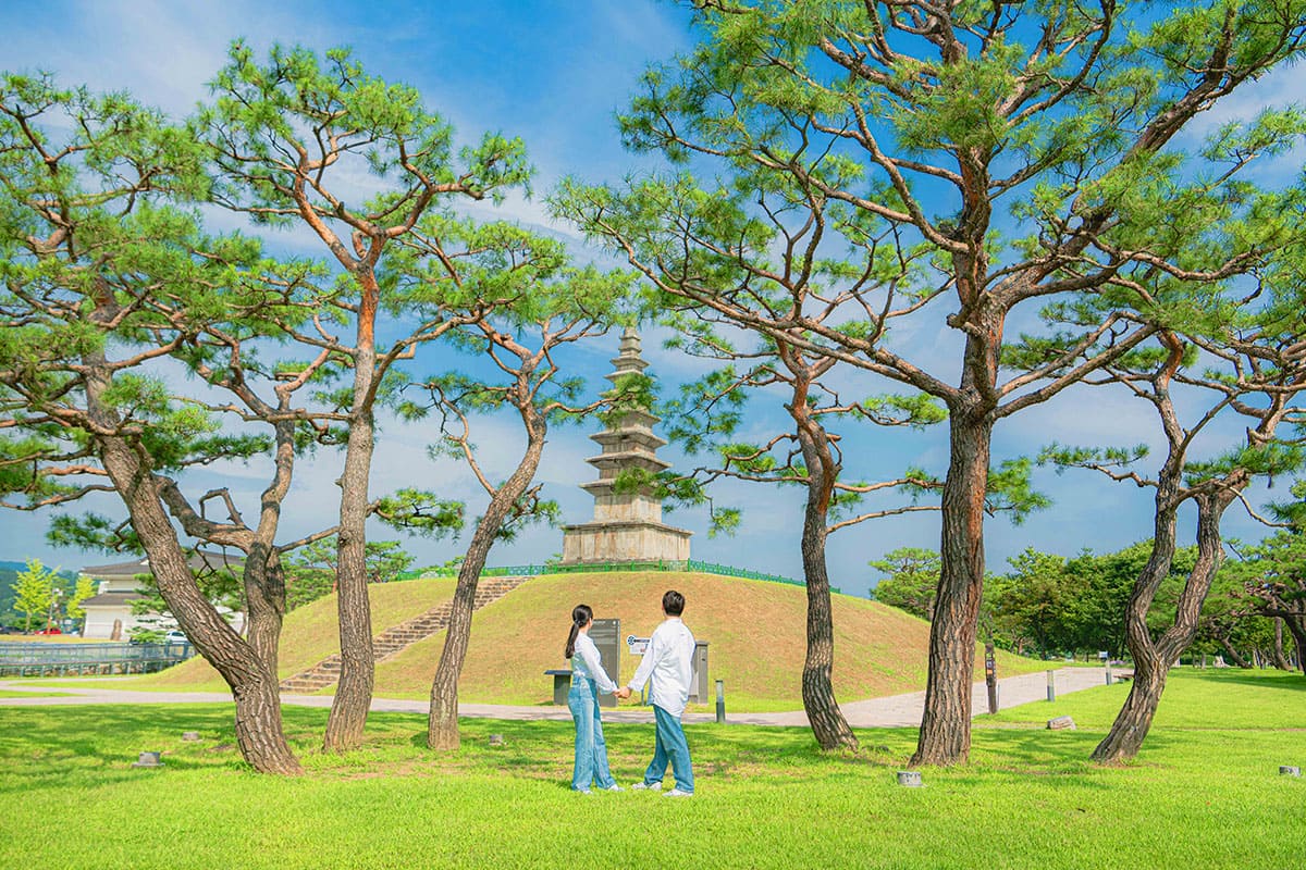 중앙탑 사적공원 잔디광장  