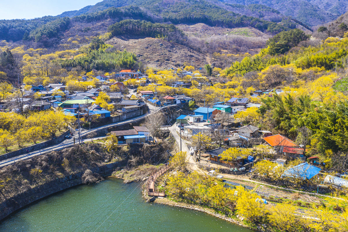 구례 산수유 마을 전경