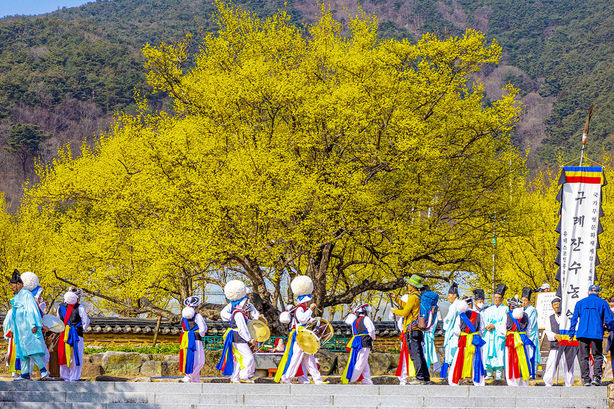 산수유축제 행사