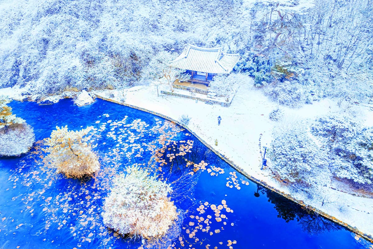 체화정 겨울 왕국 