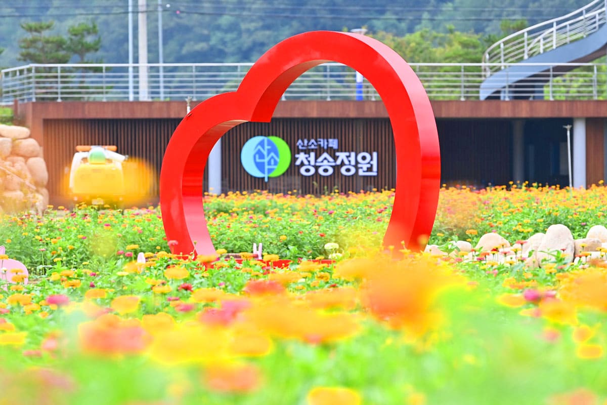산소카페 청송정원 가을 풍경 
