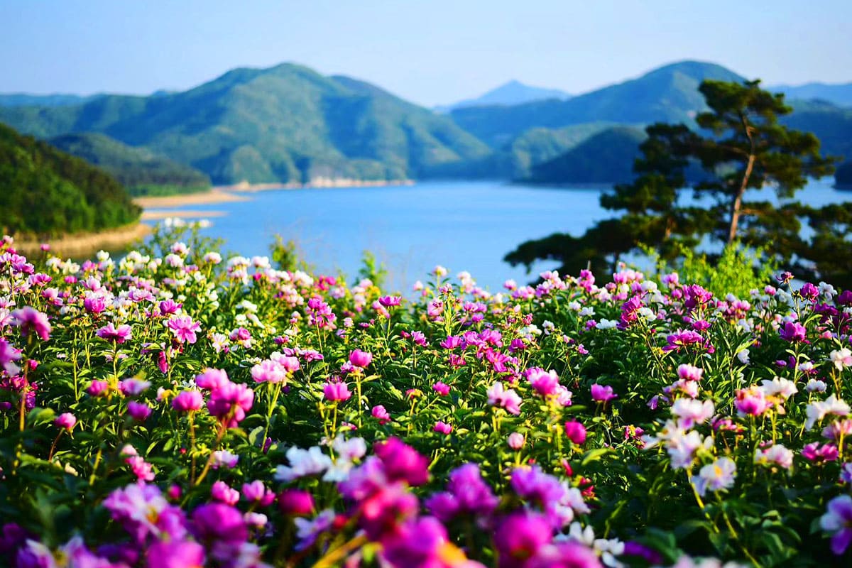 옥정호 전경 