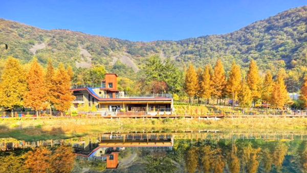 월아산 숲속의 진주 / 월아산숲속의진주 페이스북