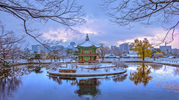 경복궁 겨울 풍경 / 사진=게티이미지뱅크 