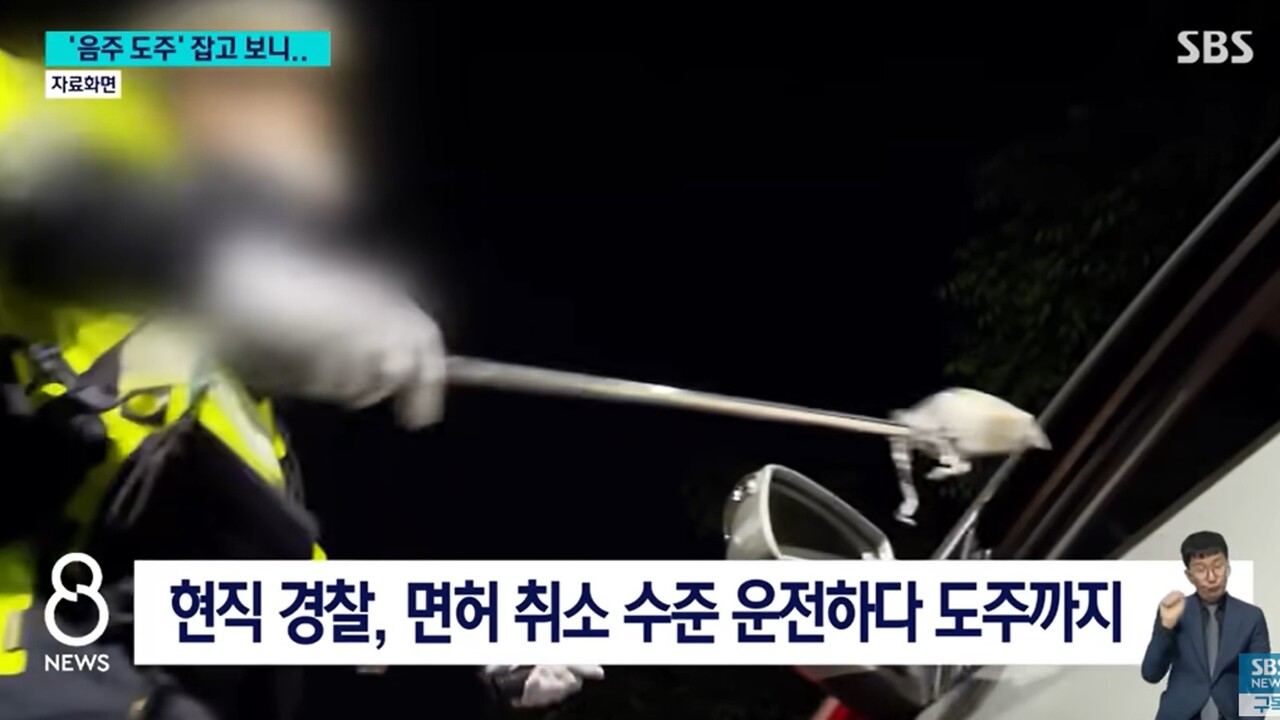 사진=SBS뉴스