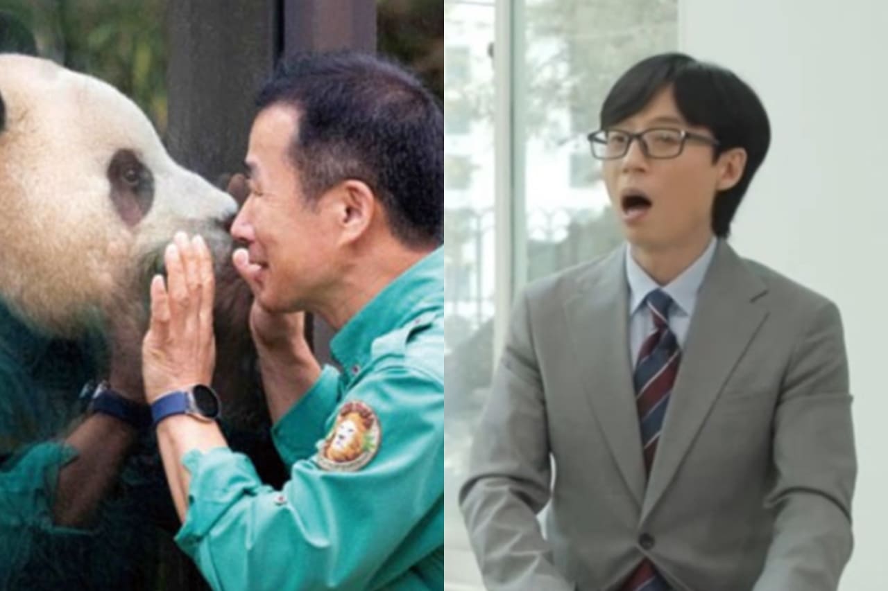 SBS '푸바오와 할부지'/tvN '유 퀴즈 온 더 블럭'