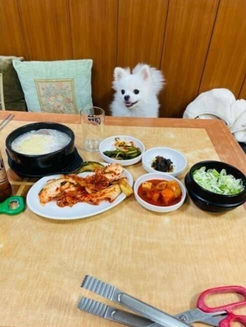 사진=온라인 커뮤니티