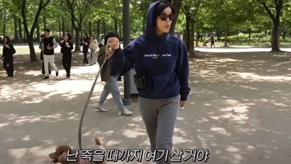 유튜브 '공부왕찐천재 홍진경'