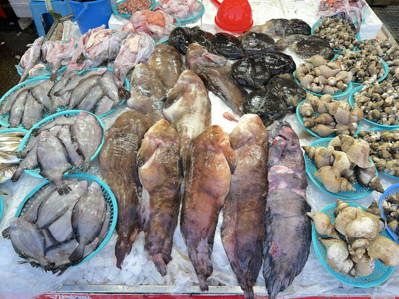 시장 좌판에 진열돼 있는 곰치