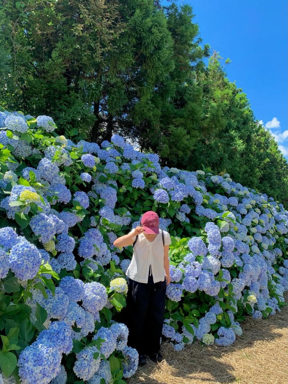 © traveler_ssim