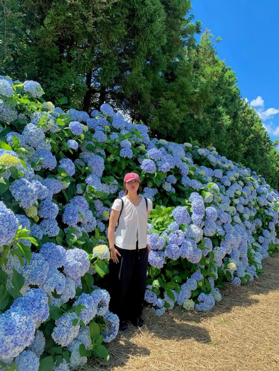 © traveler_ssim