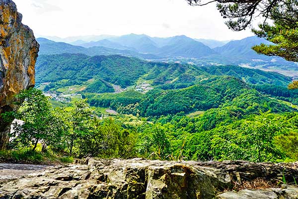 사진 괴산군청