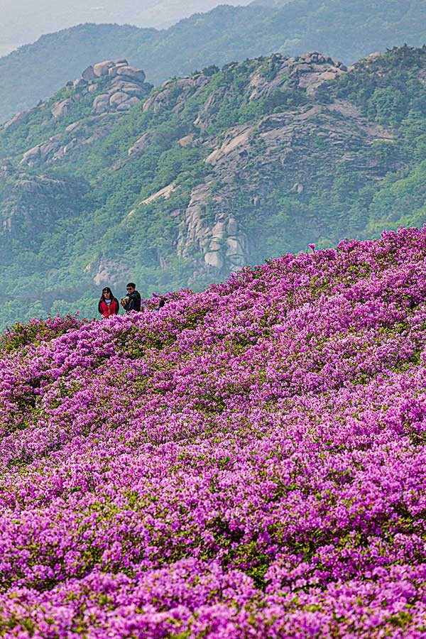 사진 김희순