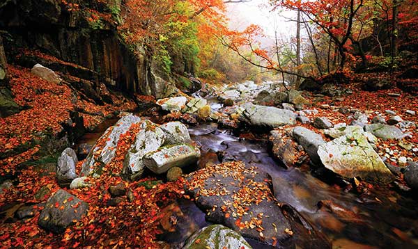 사진 김성필