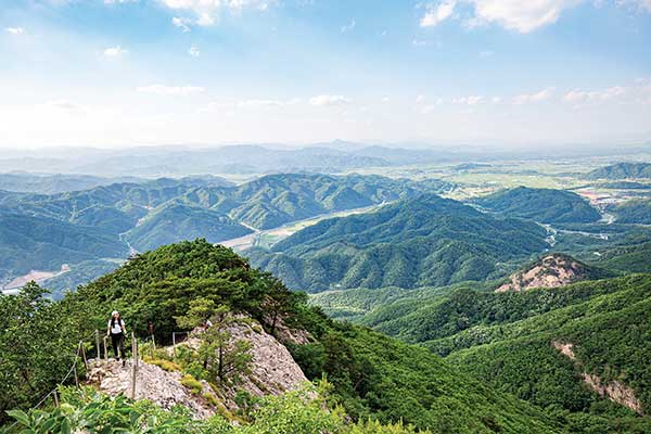 사진 김종연 기자