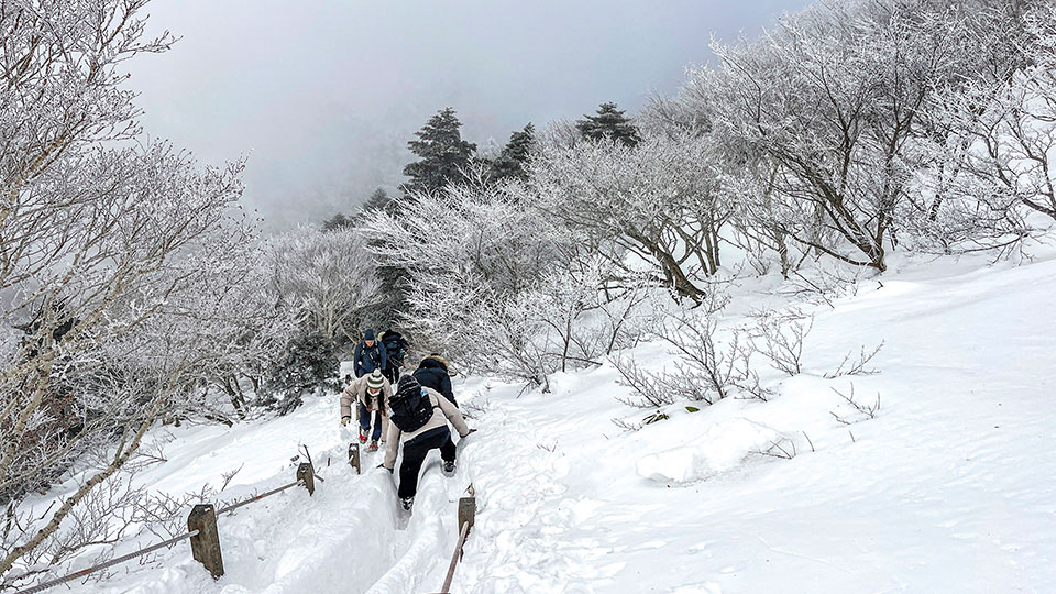 관음사 탐방로의 삼각봉대피소 등로가 물길처럼 홈이 파여 있어서 등반객들이 네 발로걷고 있다.