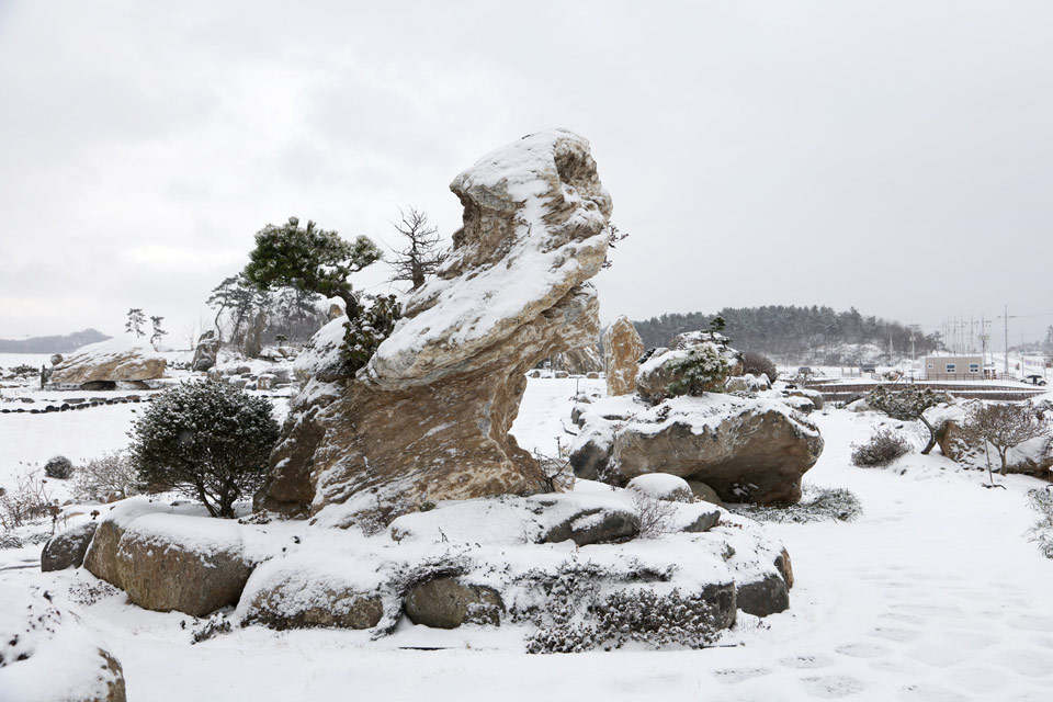 수석 정원. 눈맞은 수석이 또다른 느낌을 준다.