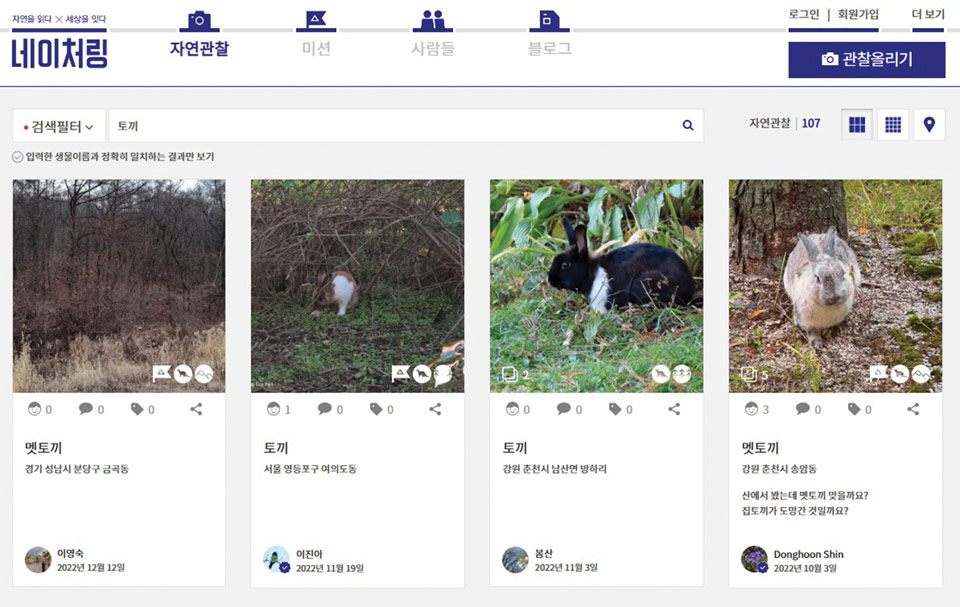 산토끼 목격 정보는 사이트 ‘네이처링naturing.net’에서 확인할 수 있다. 목격 장소의 지형과 GPS 자료를 보면 아직 숲이 그리 우거지지 않은 야트막한 야산인 경우가 많다.