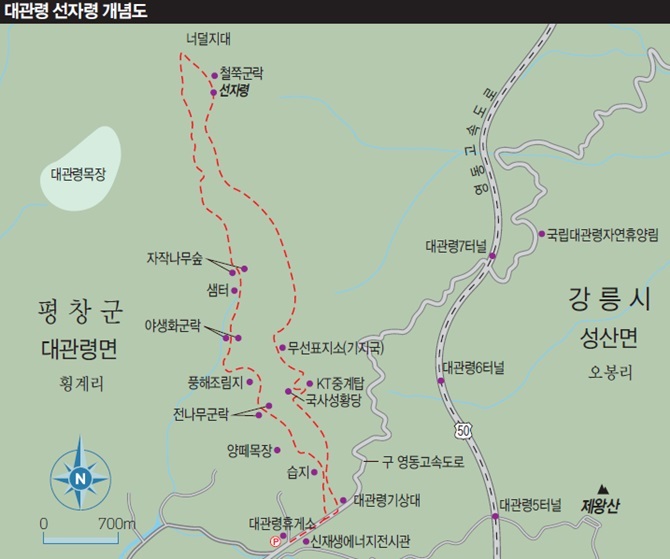 대관령 선자령 개념도