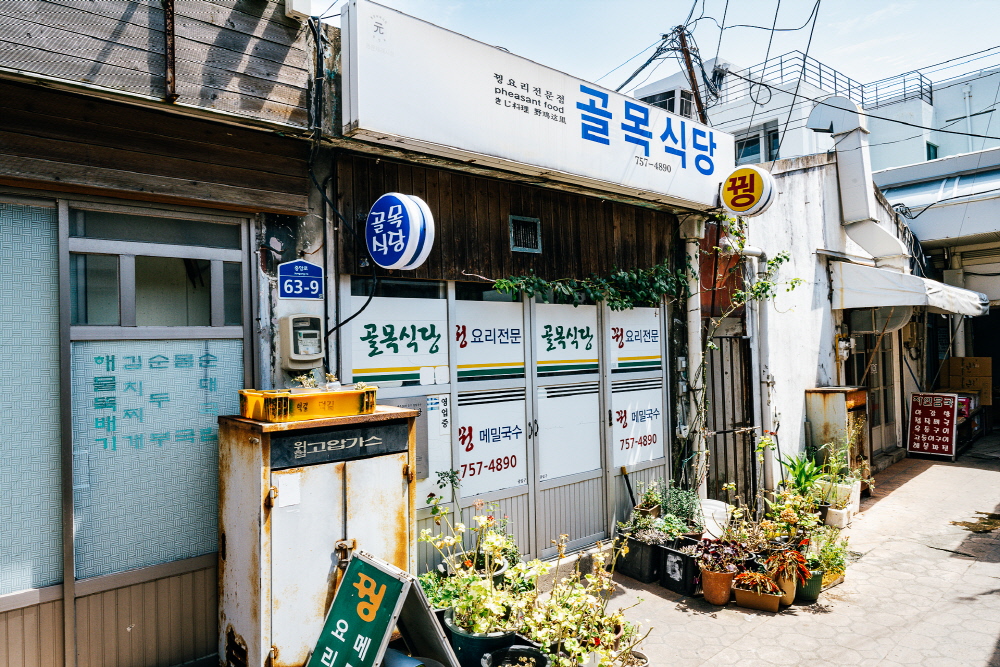 메밀 꿩메밀칼국수를 주메뉴로 하는 골목식당