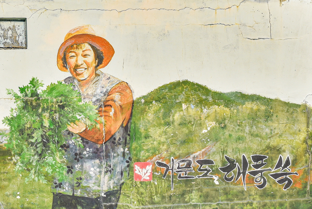 자연이 내어 준 귀한 건강식품 거문도 해풍쑥