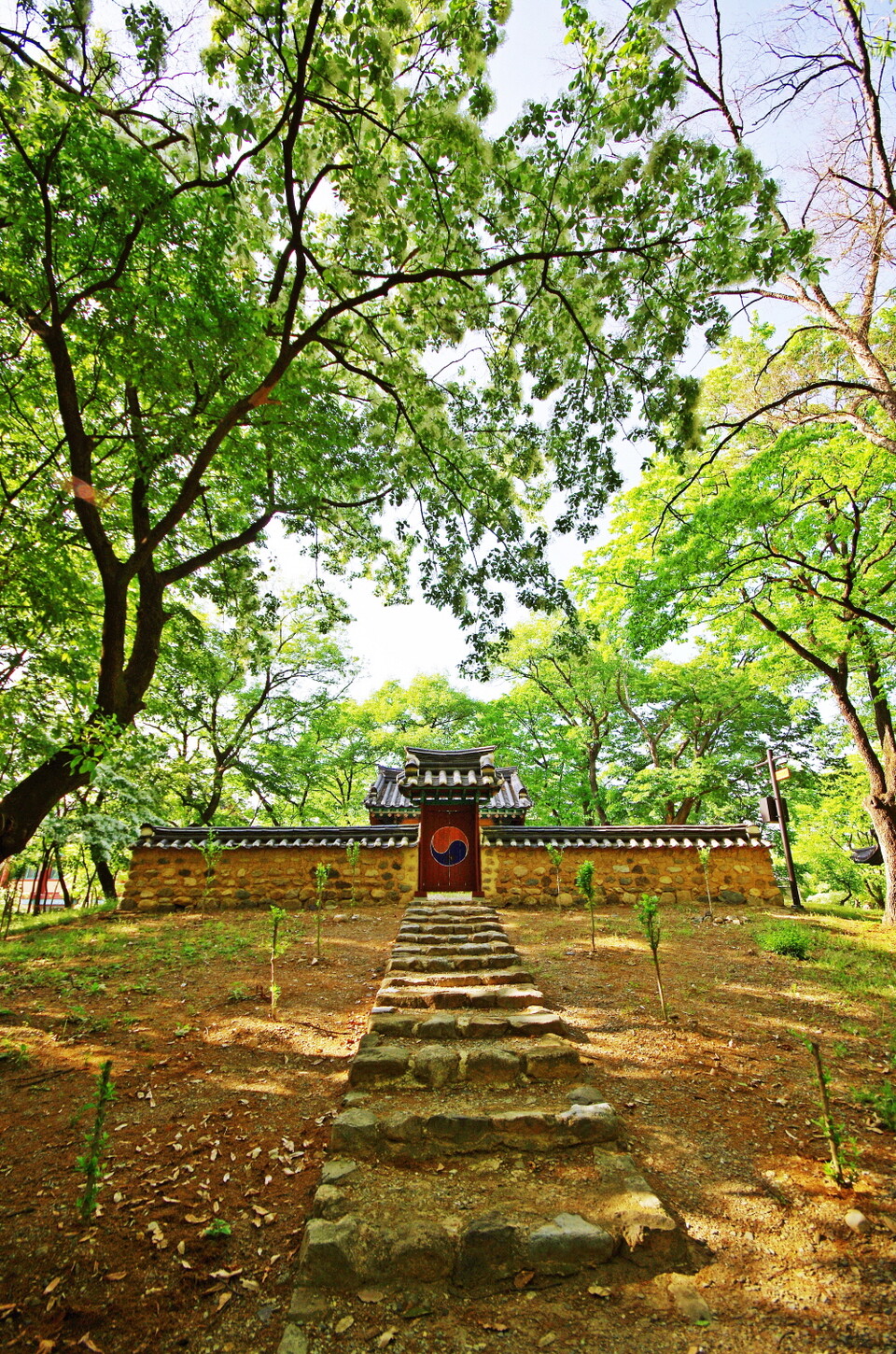 진충묘