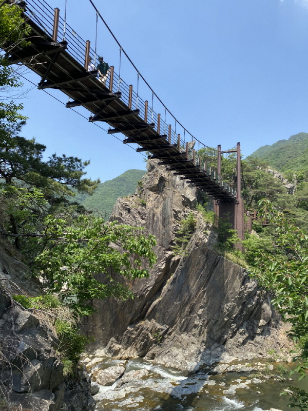 총 길이 47.75m, 폭 1.7m. 전국의 내로라하는 출렁다리에 비하면 짧지만 충분히 아찔하다