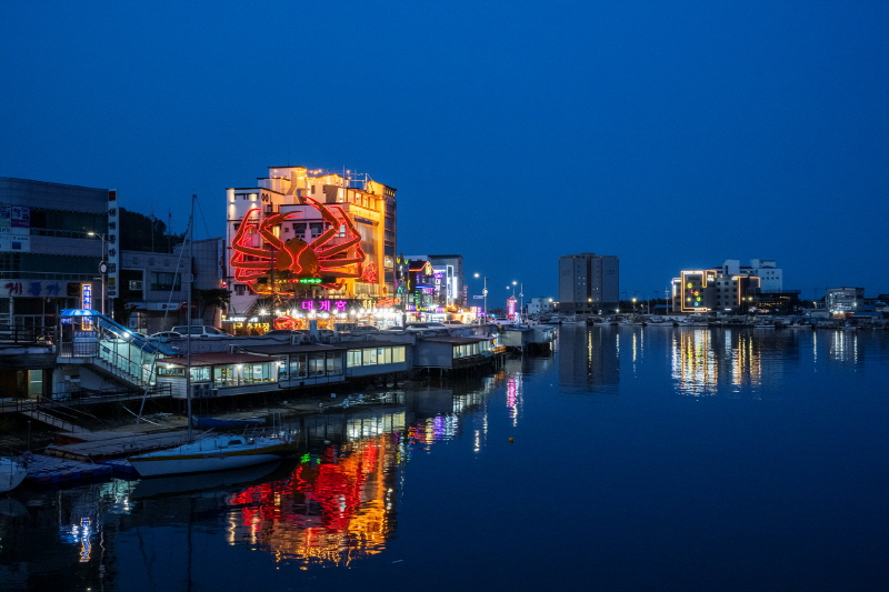 붉은 대게도 푸른 꿈을 꾸는 강구항의 밤