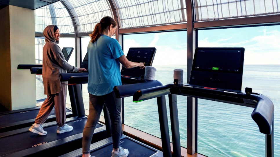 (via Disney Cruise Line Webpage)