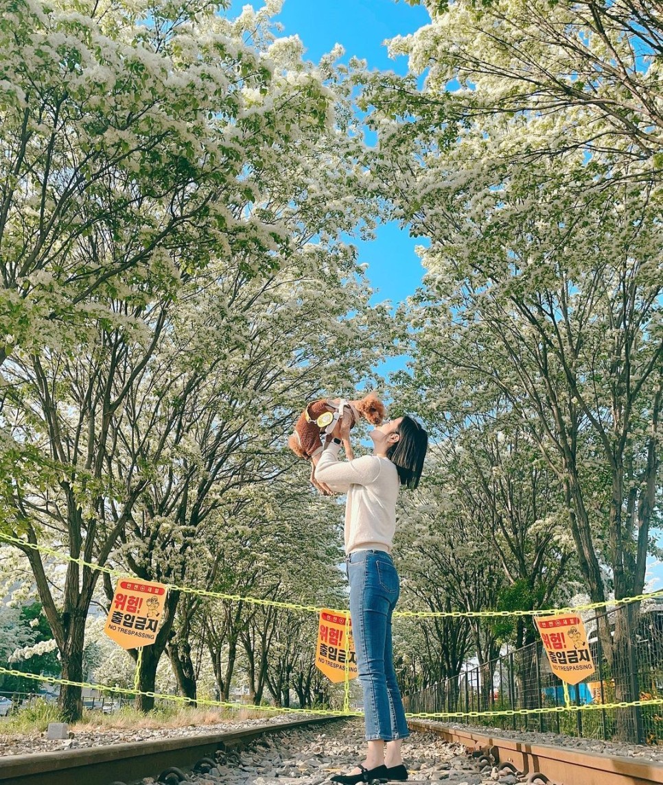 © sosoham_daily
