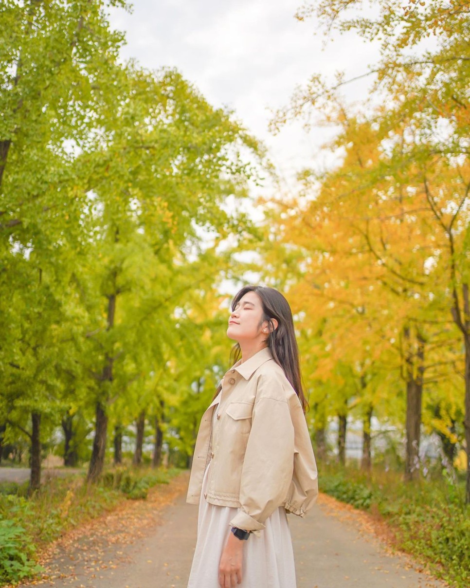 © jii_jang