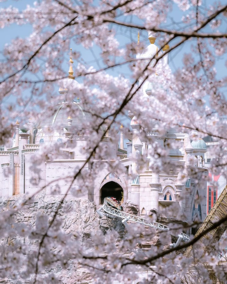 © hwanygallery