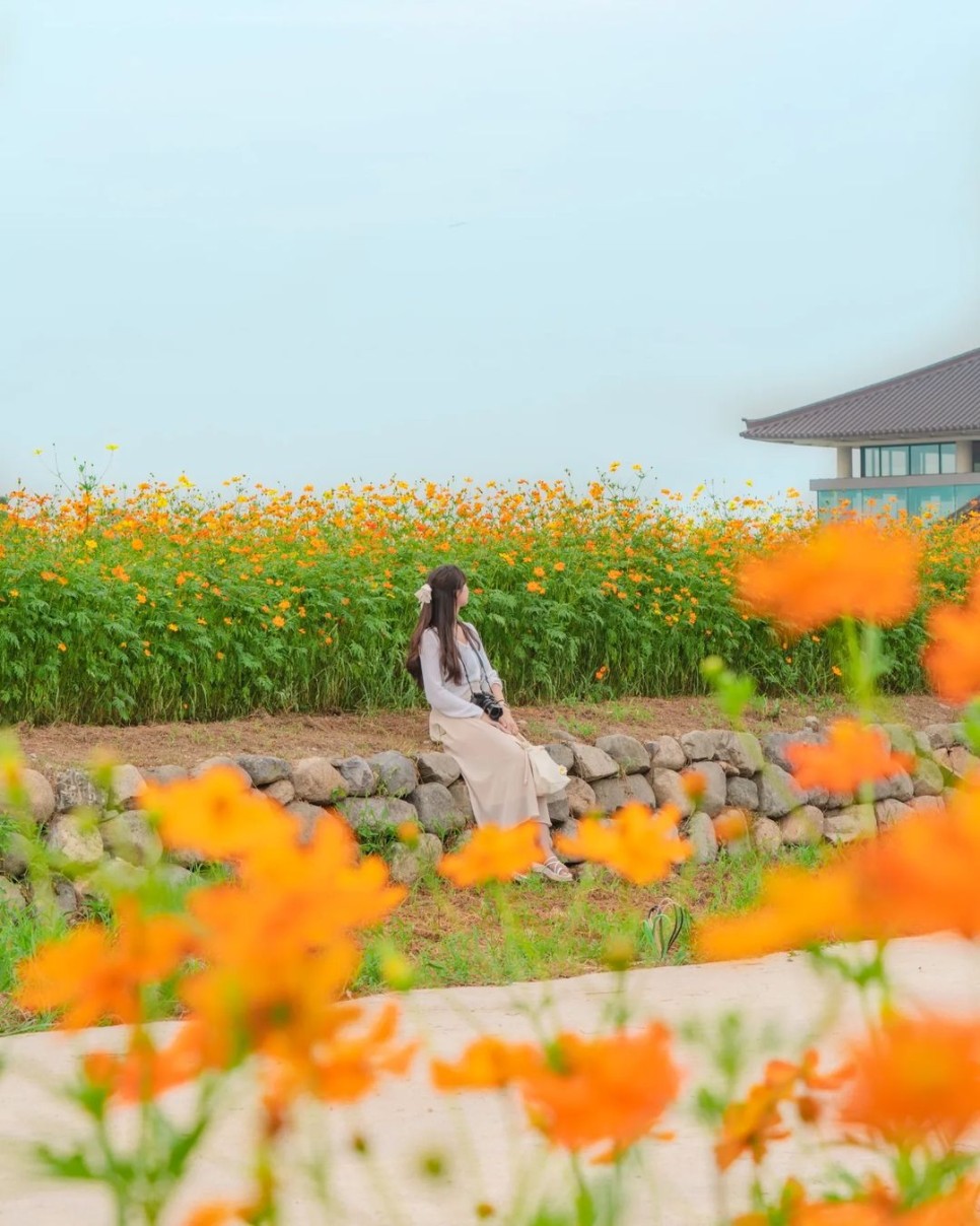 © s_unset_film