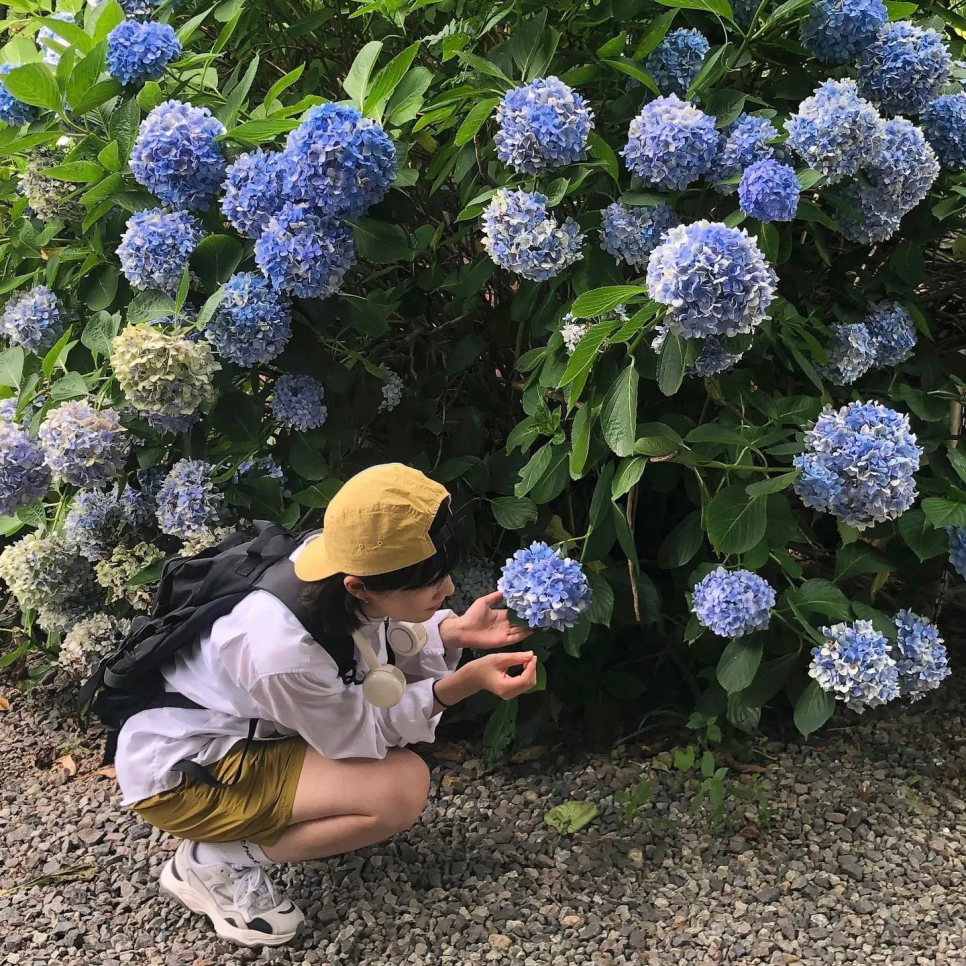 © rr__sshh