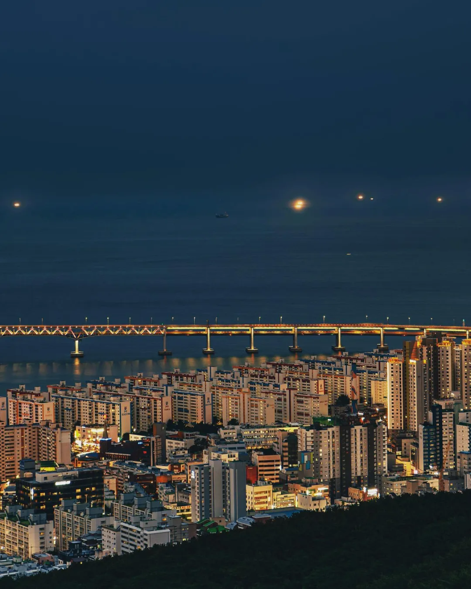© gom2.pic