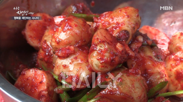 파인애플김치는 어떤 맛? 독특한 재료