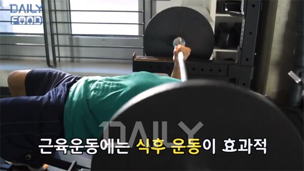 다이어트 성공을 위해 알아야 할, 식