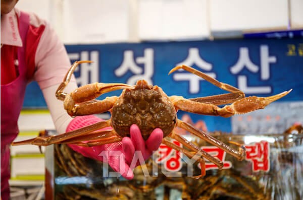 노량진 수산 시장 맛집? 맛 좋아 인