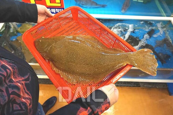 노량진 수산 시장 맛집? 맛 좋아 인