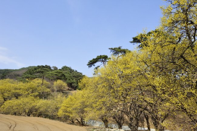 요즘 핫한 봉화 여행지 10