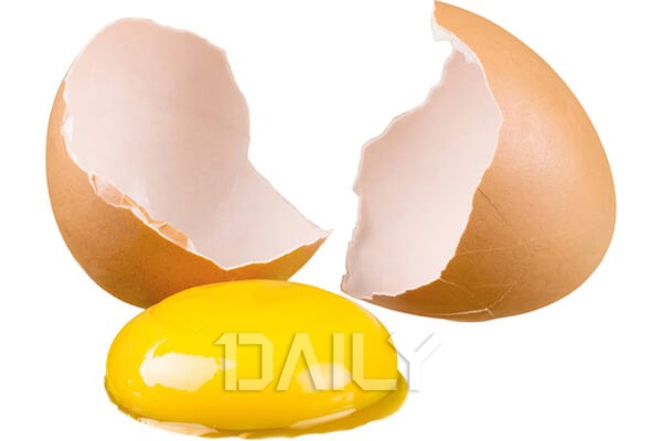 알아두면 유용하다! 소소한 일상의 꿀
