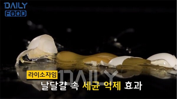 '꿀성대' 만든다는 날달걀, 목소리 