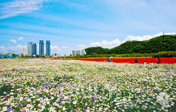 바다의 낭만을 품은 그 곳, 울산에서