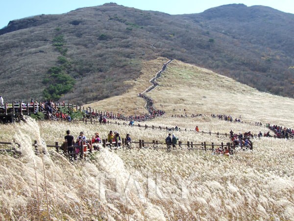 바다의 낭만을 품은 그 곳, 울산에서