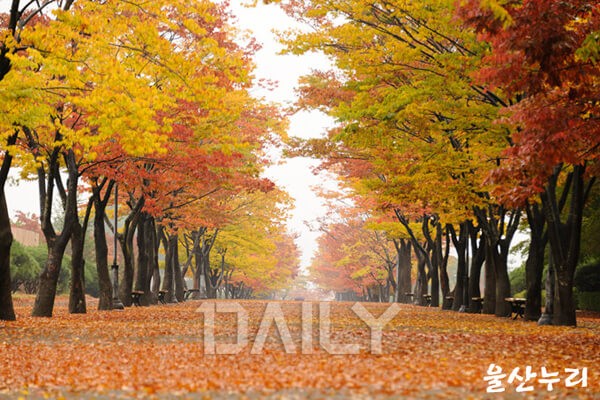 바다의 낭만을 품은 그 곳, 울산에서