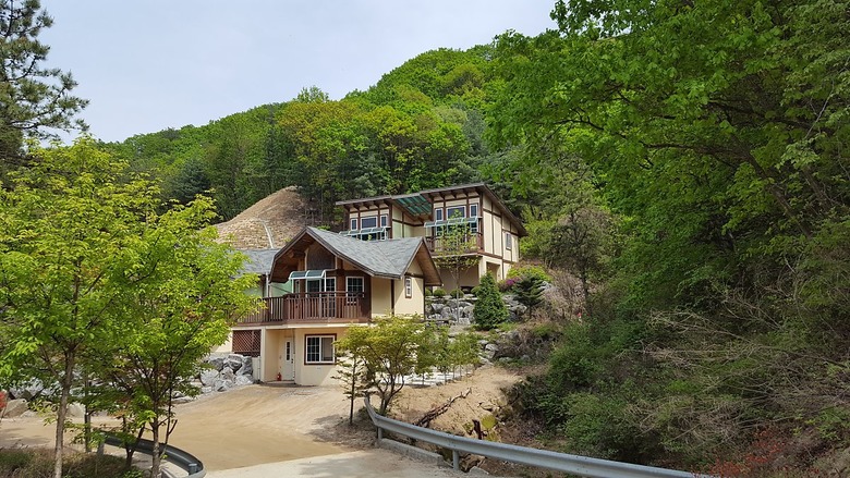 숲속에서 즐기는 힐링, 국내 자연휴양