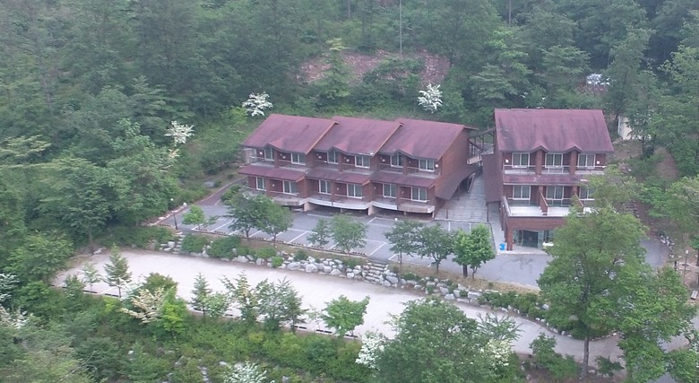 숲속에서 즐기는 힐링, 국내 자연휴양