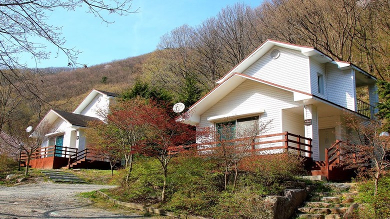 숲속에서 즐기는 힐링, 국내 자연휴양